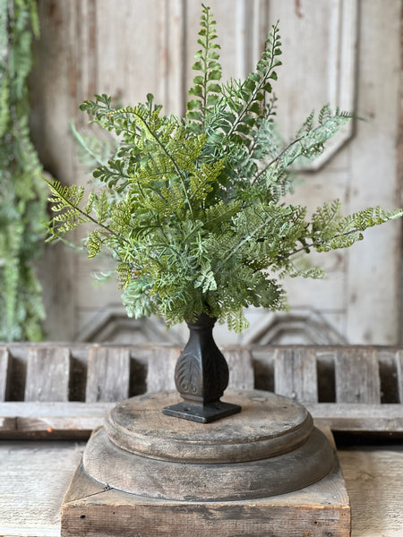 Understory Fern Bush | 20" | NOT CURRENTLY IN STOCK-New For Spring 2026!