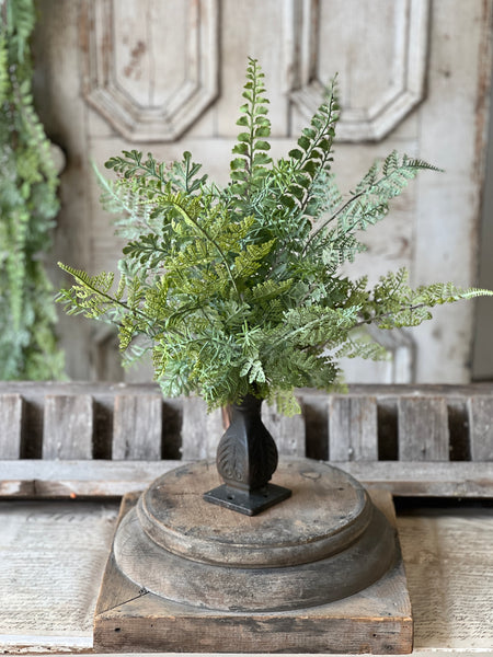 Understory Fern Bush | 20" | NOT CURRENTLY IN STOCK-New For Spring 2026!