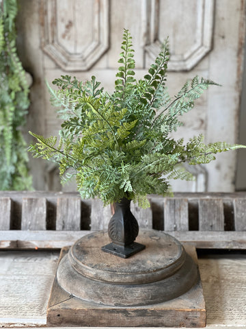 Understory Fern Bush | 20" | NOT CURRENTLY IN STOCK-New For Spring 2026!