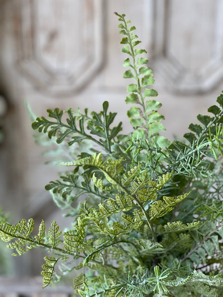 Understory Fern Bush | 20" | NOT CURRENTLY IN STOCK-New For Spring 2026!