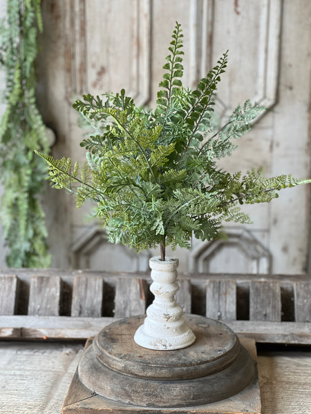 Understory Fern Bush | 20" | NOT CURRENTLY IN STOCK-New For Spring 2026!