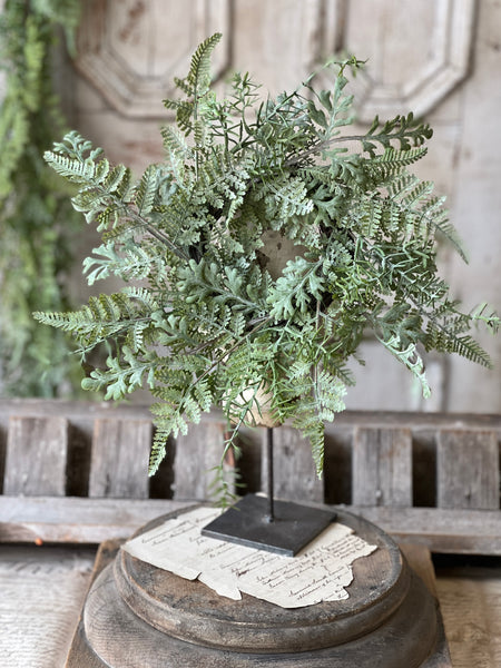 Understory Fern Candle Ring | 12" | NOT CURRENTLY IN STOCK-New For Spring 2026!