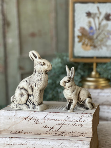 Wonderland Rabbit | 5.75" | NOT CURRENTLY IN STOCK - Spring 2026 | ETA December