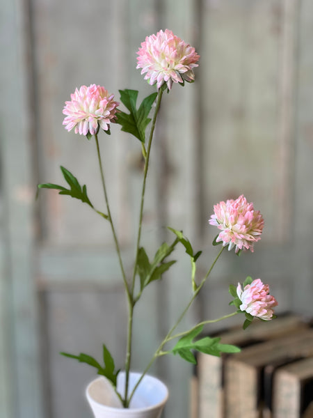 Miriam Mums | 23" | Sorbet | NOT CURRENTLY IN STOCK-New For Spring 2026!