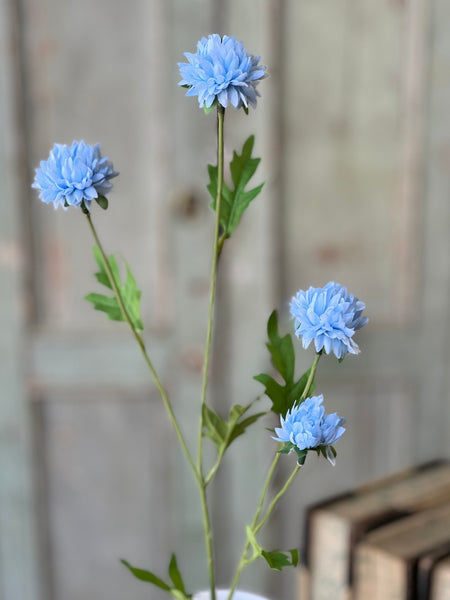 Miriam Mums | 23" | Sky | NOT CURRENTLY IN STOCK-New For Spring 2026!