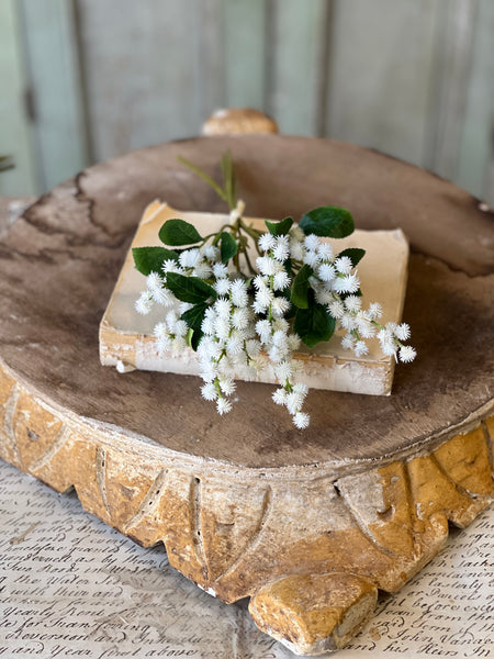 Wishlet Bud Bundle | 13" | Cream | NOT CURRENTLY IN STOCK-New For Spring 2026!