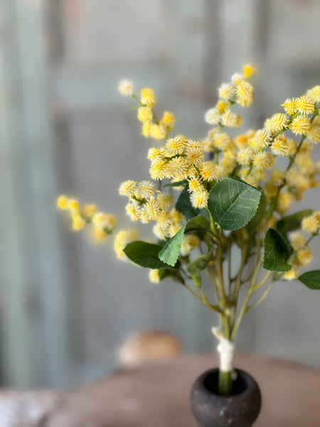 Wishlet Bud Bundle | 13" | Yellow | NOT CURRENTLY IN STOCK-New For Spring 2026!