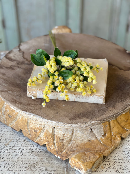 Wishlet Bud Bundle | 13" | Yellow | NOT CURRENTLY IN STOCK-New For Spring 2026!