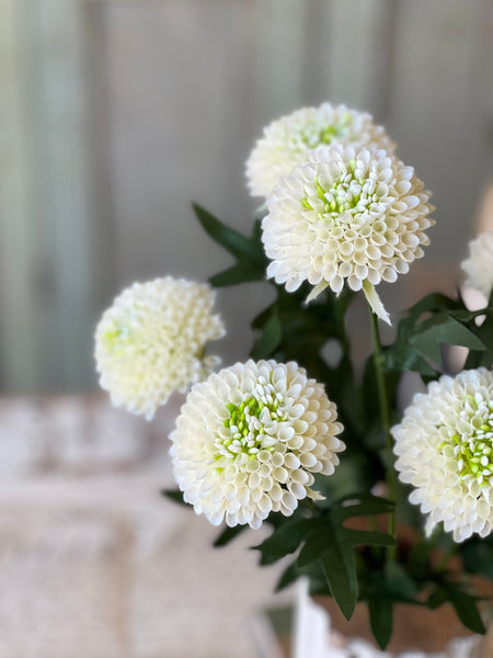 Corsage Florets | 17" | Cream | NOT CURRENTLY IN STOCK-New For Spring 2026!