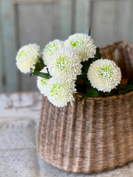 Corsage Florets | 17" | Cream | NOT CURRENTLY IN STOCK-New For Spring 2026!