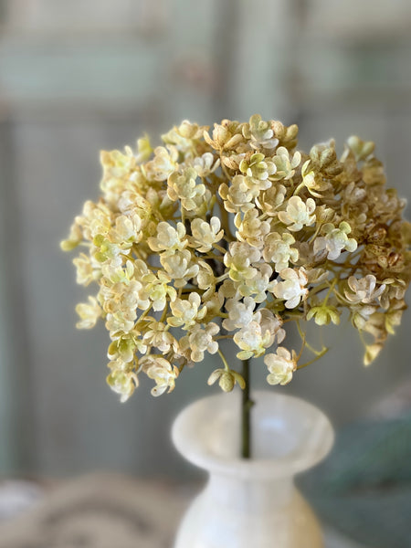 Whisper Bud Spray | 12" | Cream | NOT CURRENTLY IN STOCK-New For Spring 2026!