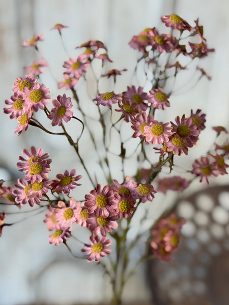 Fairmont Blooms | 27" | Rosewood | NOT CURRENTLY IN STOCK-New For Holiday 2026!