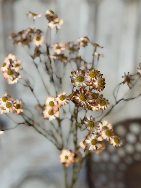 Fairmont Blooms | 27" | Fawn | NOT CURRENTLY IN STOCK-New For Holiday 2026!