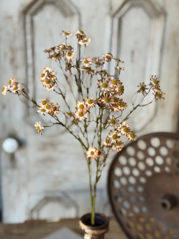 Fairmont Blooms | 27" | Fawn | NOT CURRENTLY IN STOCK-New For Holiday 2026!