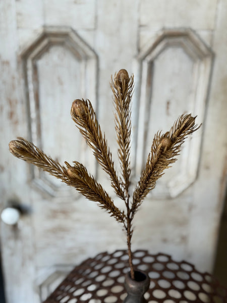 Comet Cone Spray | 19" | NOT CURRENTLY IN STOCK-New For Holiday 2026!