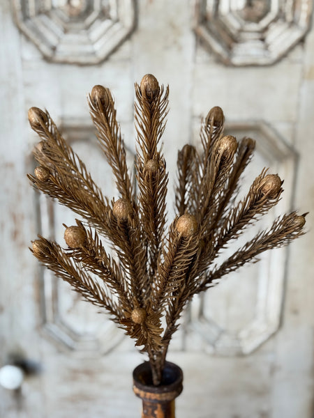 Comet Cone Spray | 24" | NOT CURRENTLY IN STOCK-New For Holiday 2026!