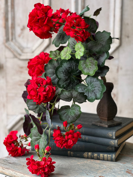 Jubilee Geranium Weeping Bush | 21" | NOT CURRENTLY IN STOCK - ETA December