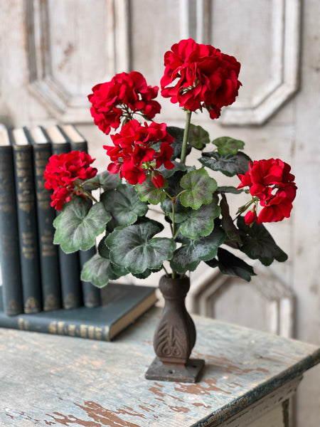 Jubilee Geranium Bush | 17.5" | NOT CURRENTLY IN STOCK - ETA December