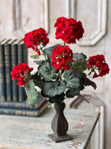 Jubilee Geranium Bush | 17.5" | NOT CURRENTLY IN STOCK - ETA December