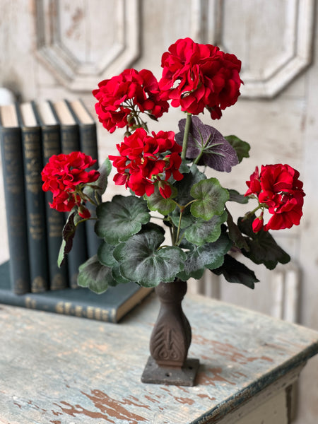 Jubilee Geranium Bush | 17.5" | NOT CURRENTLY IN STOCK - ETA December