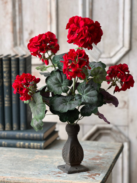 Jubilee Geranium Bush | 17.5" | NOT CURRENTLY IN STOCK - ETA December