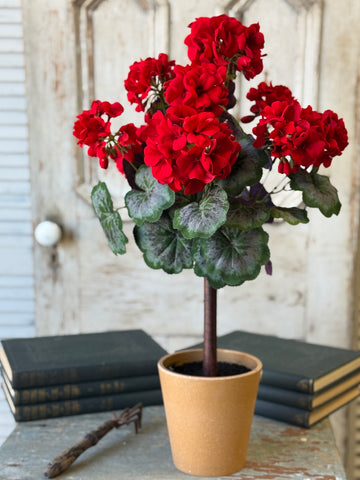 Jubilee Geranium Topiary | 27" | NOT CURRENTLY IN STOCK-New For Spring 2027!