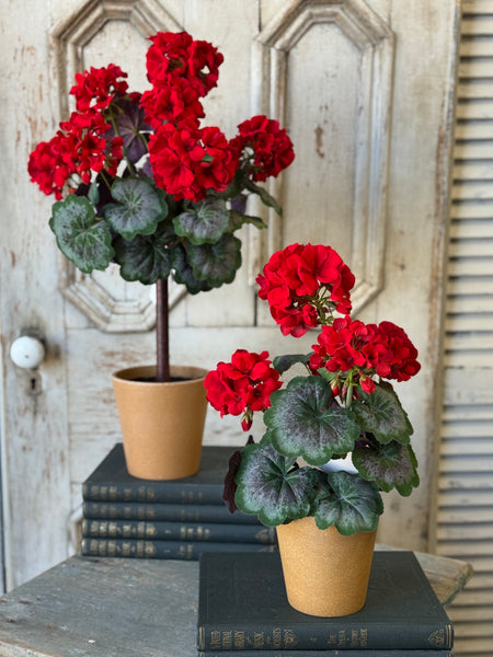 Jubilee Geranium Topiary | 27" | NOT CURRENTLY IN STOCK-New For Spring 2027!