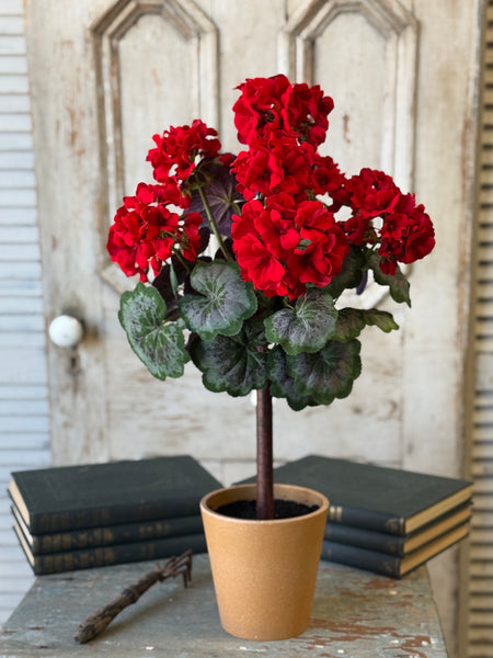 Jubilee Geranium Topiary | 27" | NOT CURRENTLY IN STOCK-New For Spring 2027!