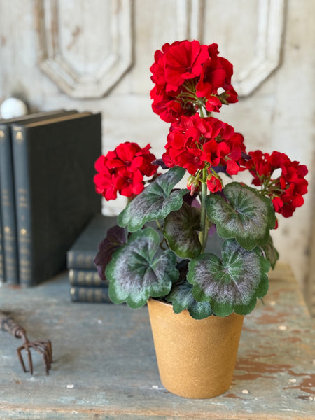 Jubilee Geranium in Pot | 17.5" | NOT CURRENTLY IN STOCK-New For Spring 2027!