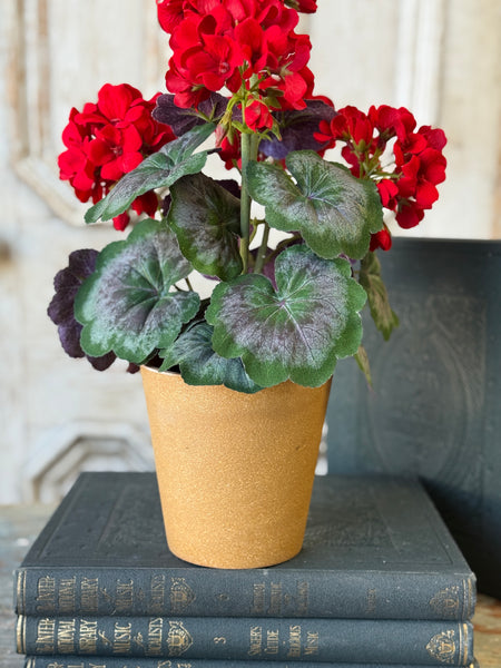 Jubilee Geranium in Pot | 17.5" | NOT CURRENTLY IN STOCK-New For Spring 2027!