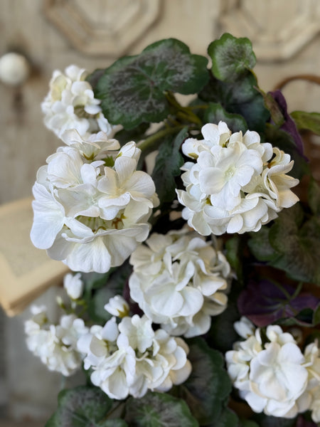 Porch Side Geranium Hanging | 21" | Cream | NOT CURRENTLY IN STOCK-New For Spring 2027!