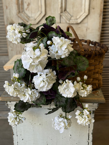 Porch Side Geranium Hanging | 21" | Cream | NOT CURRENTLY IN STOCK-New For Spring 2027!