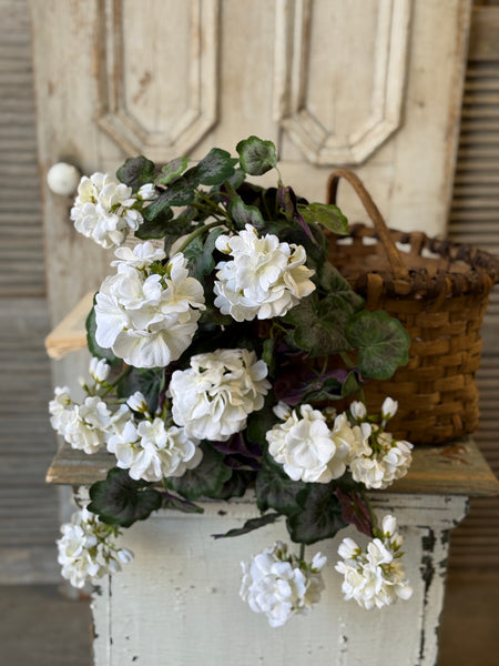 Porch Side Geranium Hanging | 21" | Cream | NOT CURRENTLY IN STOCK-New For Spring 2027!
