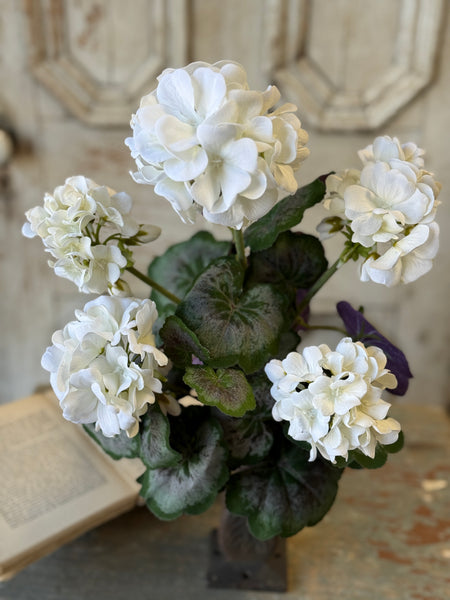 Porch Side Geranium Bush | 17.5" | Cream | NOT CURRENTLY IN STOCK-New For Spring 2027!