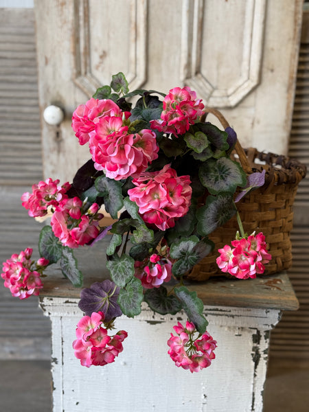 Porch Side Geranium Hanging | 21" | Pink | NOT CURRENTLY IN STOCK-New For Spring 2027!
