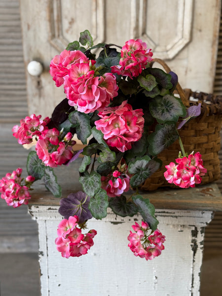 Porch Side Geranium Hanging | 21" | Pink | NOT CURRENTLY IN STOCK-New For Spring 2027!