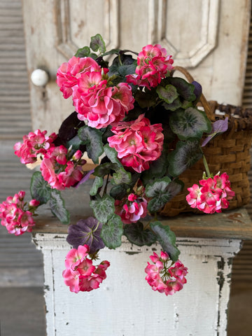 Porch Side Geranium Hanging | 21" | Pink | NOT CURRENTLY IN STOCK-New For Spring 2027!