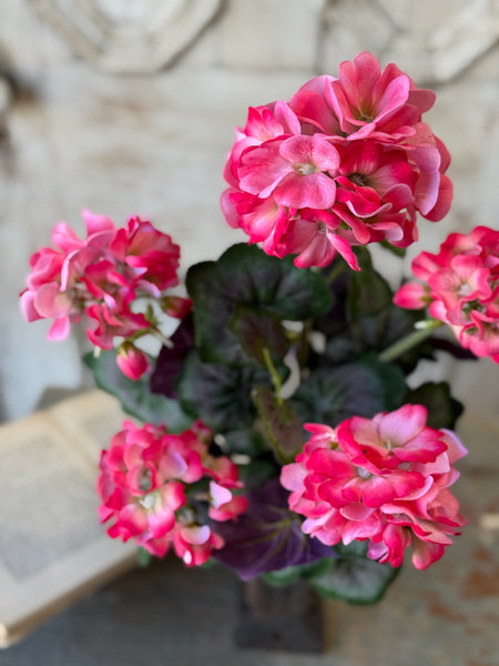 Porch Side Geranium Bush | 17.5" | Pink | NOT CURRENTLY IN STOCK-New For Spring 2027!