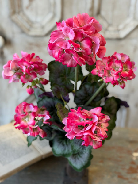 Porch Side Geranium Bush | 17.5" | Pink | NOT CURRENTLY IN STOCK-New For Spring 2027!