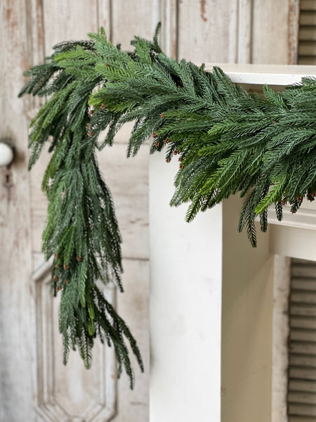 Norfolk Cascade Garland | 6'