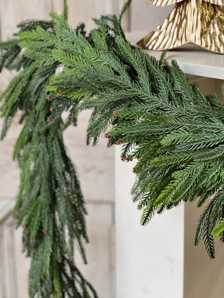 Norfolk Cascade Garland | 6'