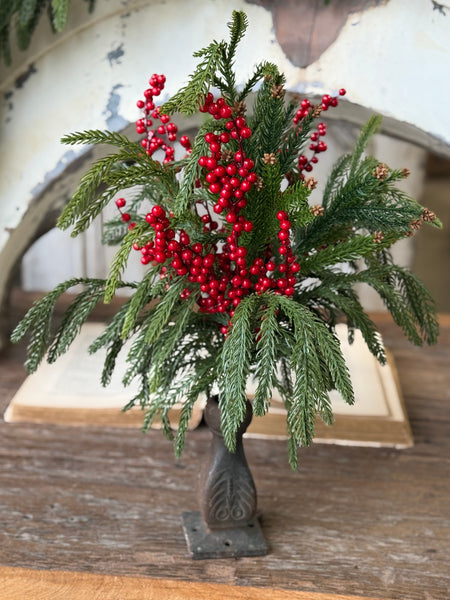 Cinderberry Norfolk Bush | 22" | NOT CURRENTLY IN STOCK-New For Holiday 2026!