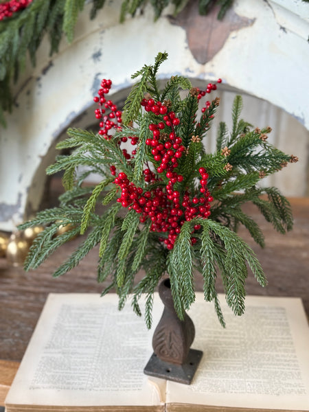 Cinderberry Norfolk Bush | 22" | NOT CURRENTLY IN STOCK-New For Holiday 2026!