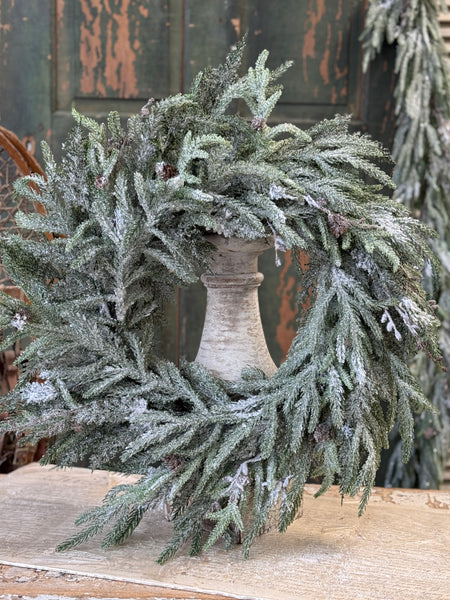 Snowdrift Norfolk Pine Wreath | 24" | NOT CURRENTLY IN STOCK-New For Holiday 2026!