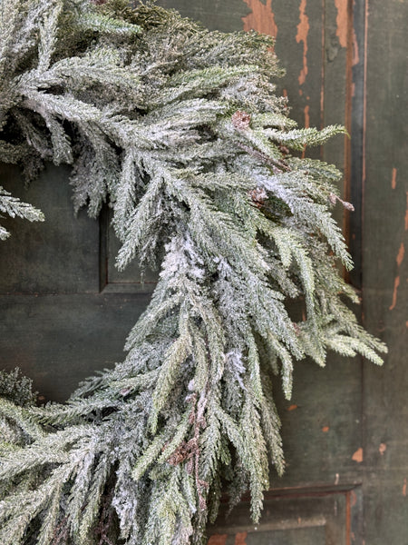 Snowdrift Norfolk Pine Wreath | 24" | NOT CURRENTLY IN STOCK-New For Holiday 2026!