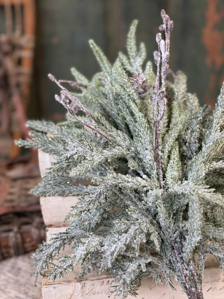Snowdrift Norfolk Pine Bundle | 18" | NOT CURRENTLY IN STOCK-New For Holiday 2026!