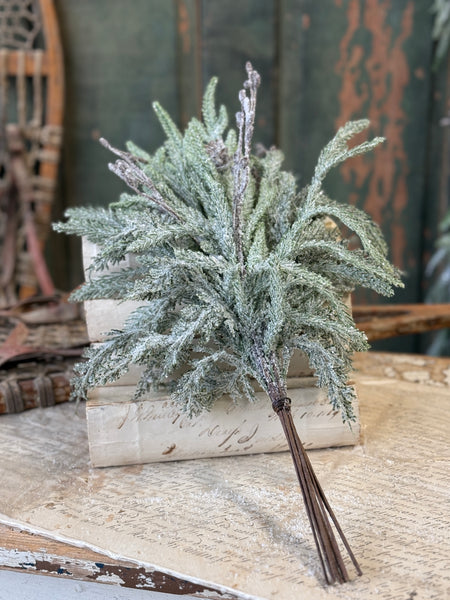 Snowdrift Norfolk Pine Bundle | 18" | NOT CURRENTLY IN STOCK-New For Holiday 2026!
