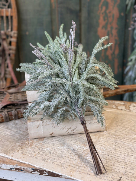 Snowdrift Norfolk Pine Bundle | 18" | NOT CURRENTLY IN STOCK-New For Holiday 2026!