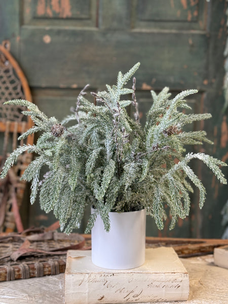 Snowdrift Norfolk Pine Pot | 15" | NOT CURRENTLY IN STOCK-New For Holiday 2026!