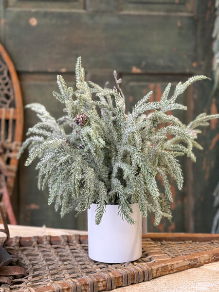 Snowdrift Norfolk Pine Pot | 15" | NOT CURRENTLY IN STOCK-New For Holiday 2026!